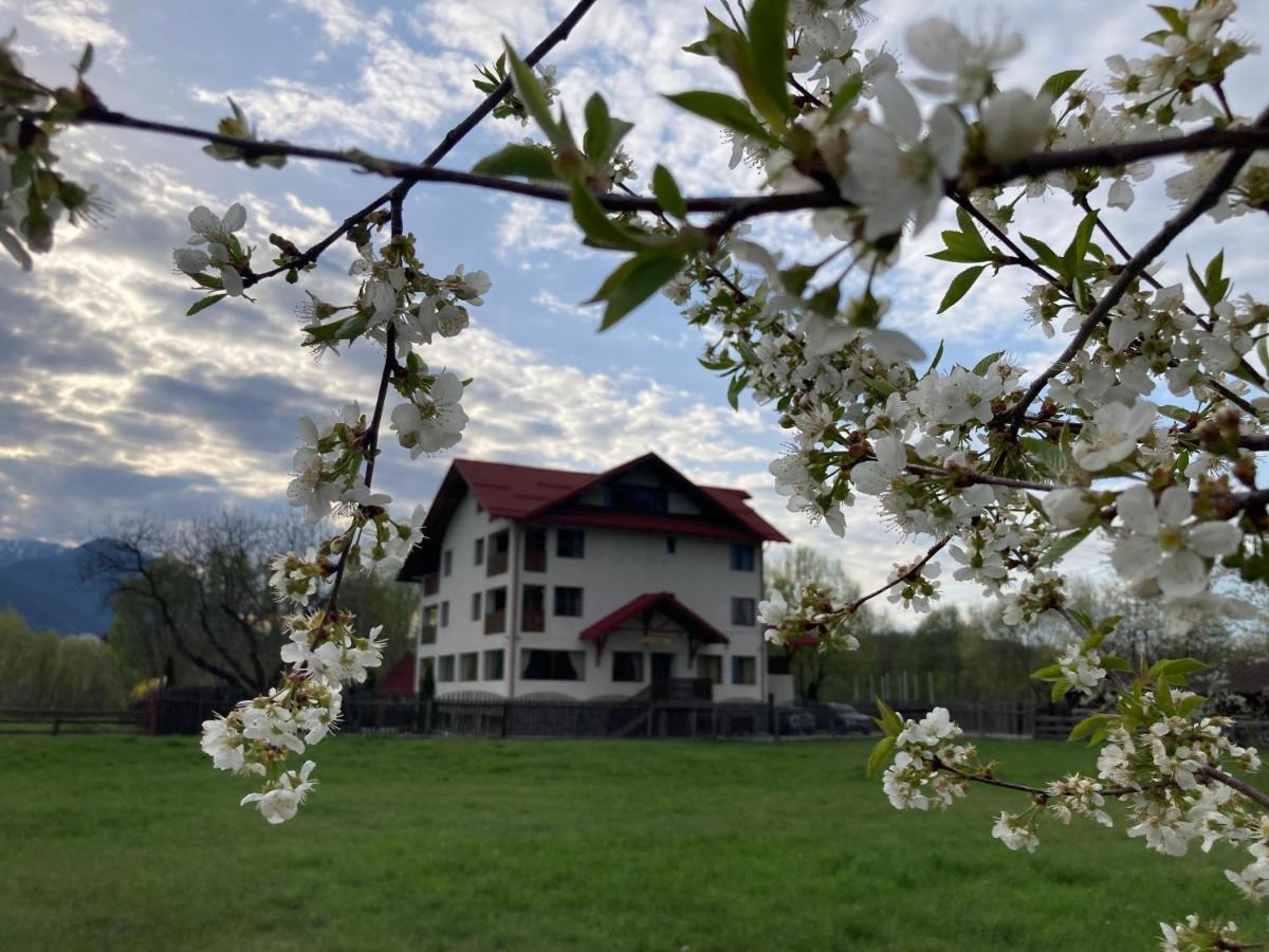 Pensiunea Aron 2 Bran  Exterior foto