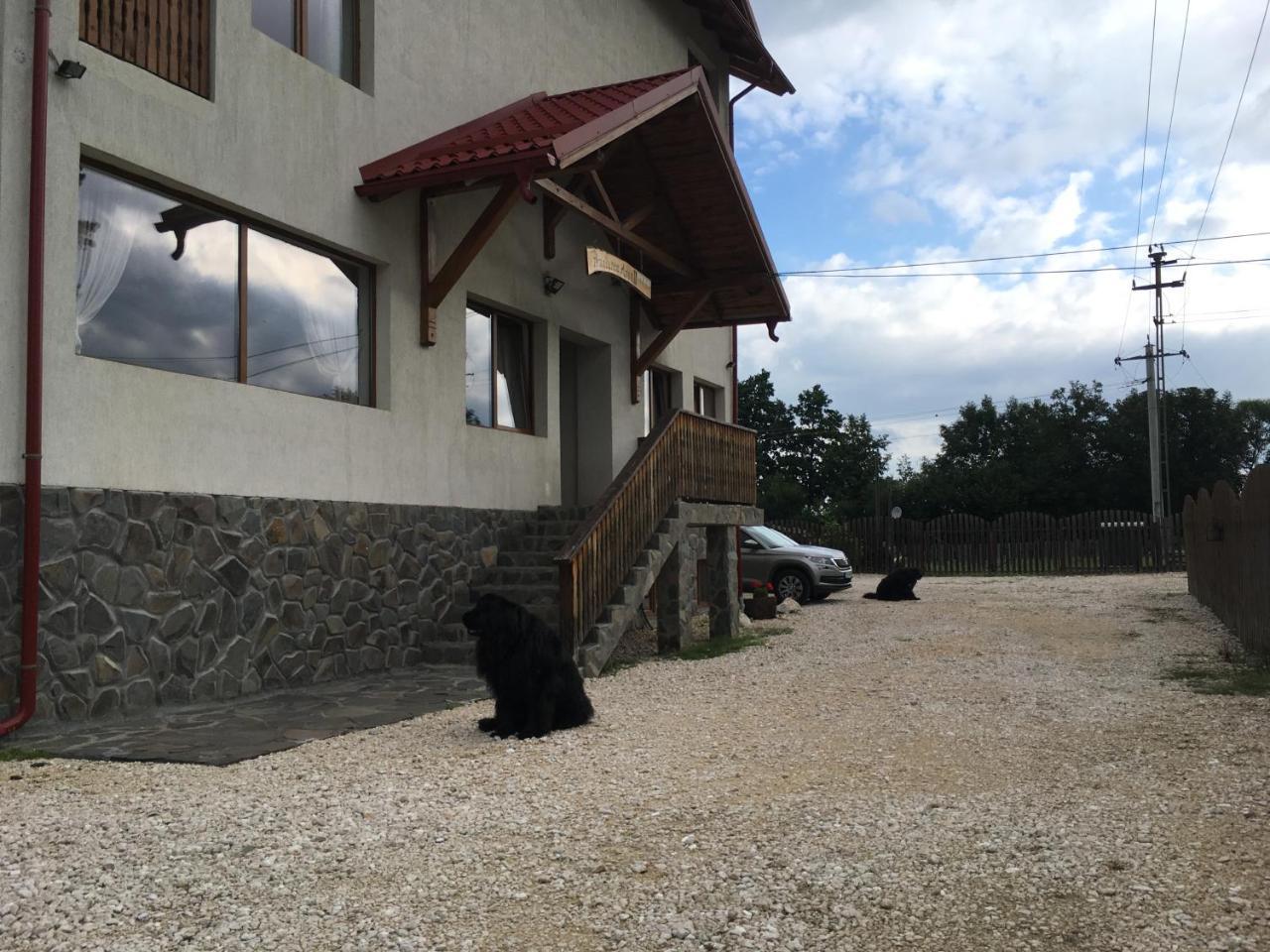 Pensiunea Aron 2 Bran  Exterior foto
