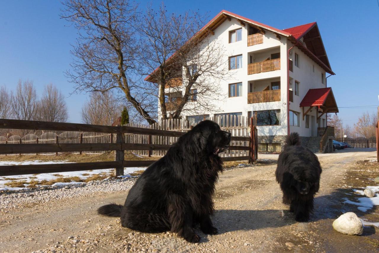 Pensiunea Aron 2 Bran  Exterior foto