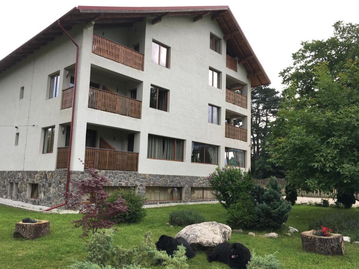 Pensiunea Aron 2 Bran  Exterior foto